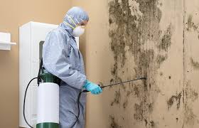 Best HVAC Mold Inspection and Cleaning  in Southgate, FL